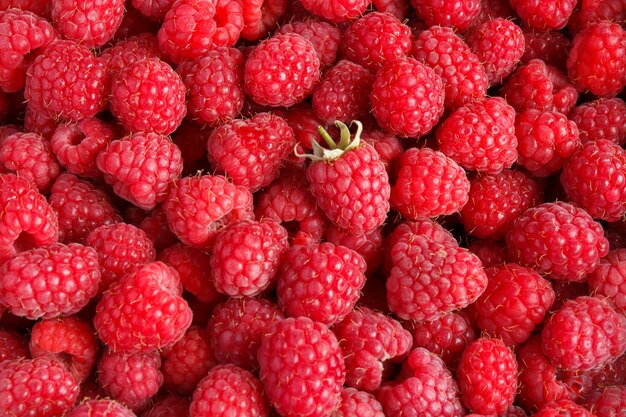 Sfondo di lamponi freschi e dolci. Messa a fuoco selettiva