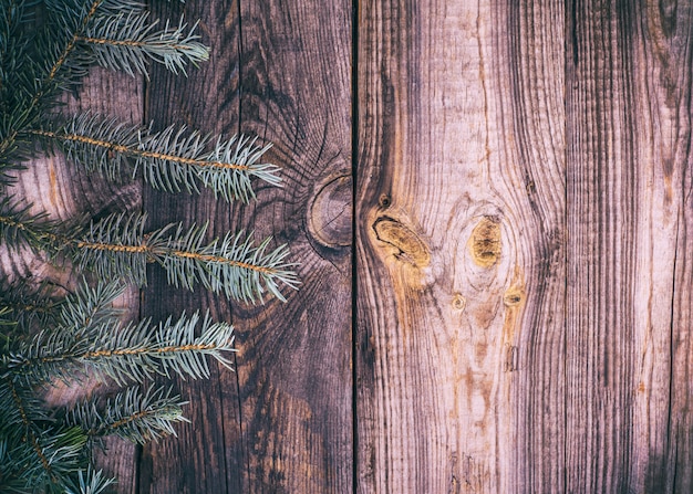 Sfondo di legno con ramo di abete verde