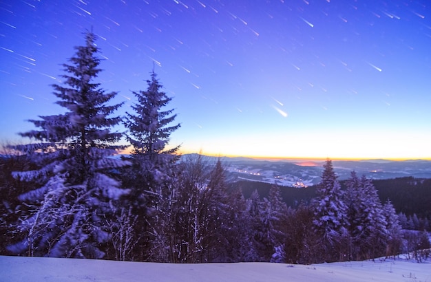 Sfondo di Natale con abeti innevati e spazio per la copia