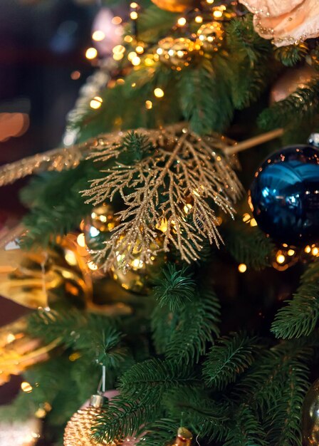 Sfondo di Natale, sfondo festivo di rami di pino. Composizione creativa