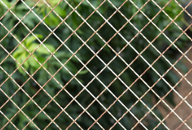 sfondo di natura recinzione di ferro