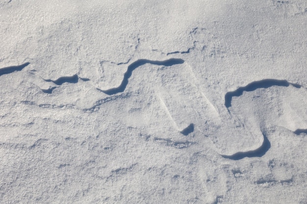 Sfondo di neve con le onde del vento