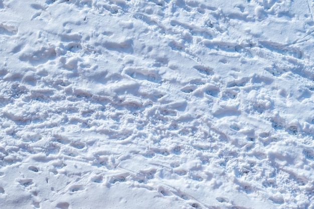 Sfondo di neve con molti uccelli umani e tracce e orme di animali