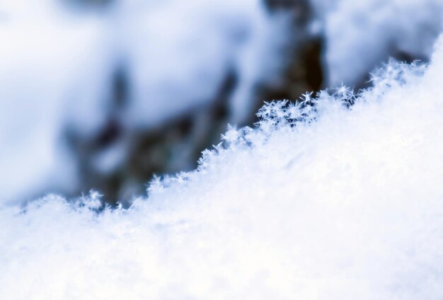 Sfondo di neve fresca. Sfondo invernale naturale. Texture neve in tonalità blu