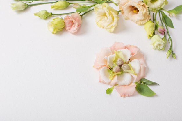 Sfondo di Pasqua con piccole uova e fiori pastello su bianco