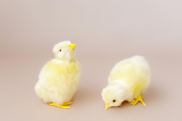 Sfondo di Pasqua con pulcini di Pasqua e uova Decorazioni di Pasqua