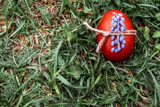 Sfondo di Pasqua, uovo di Pasqua rosso decorato con fiori blu. su sfondo luminoso erba naturale.