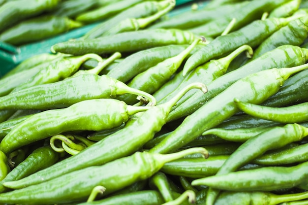 sfondo di peperone verde piccante selezionato