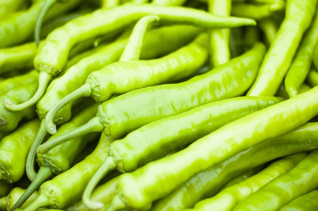 sfondo di peperone verde piccante selezionato