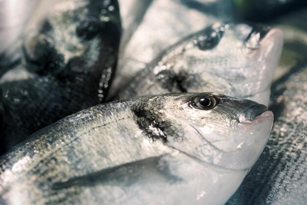 Sfondo di pesce crudo fresco Tonica