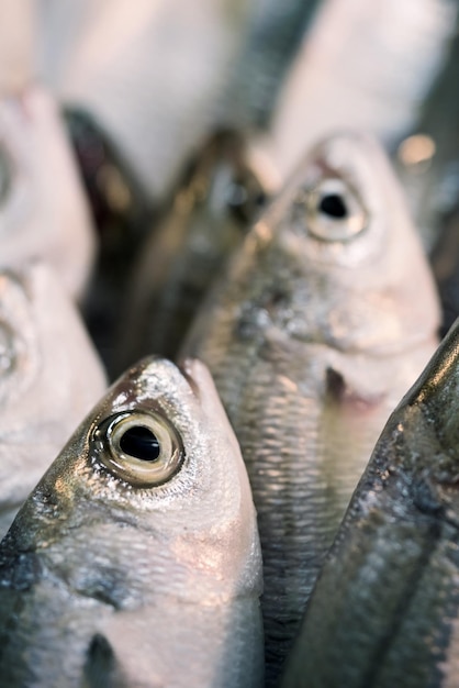 Sfondo di pesce crudo fresco