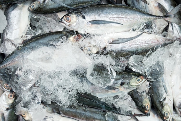 Sfondo di pesce di mare fresco