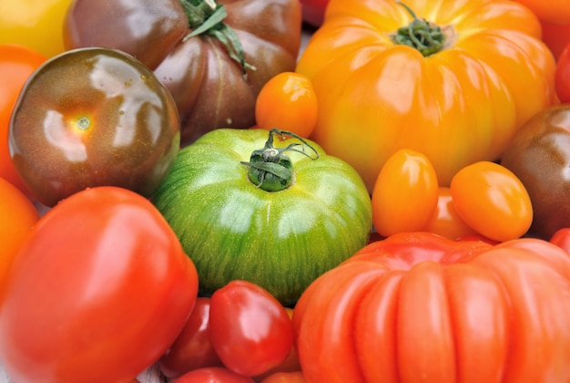 Sfondo di pomodori colorati