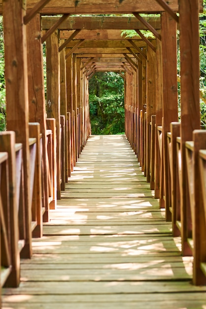 Sfondo di ponte di legno