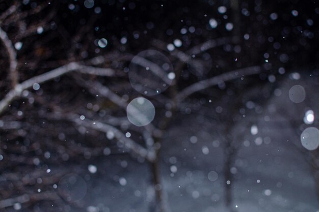 Sfondo di punti luminosi notturni innevati1