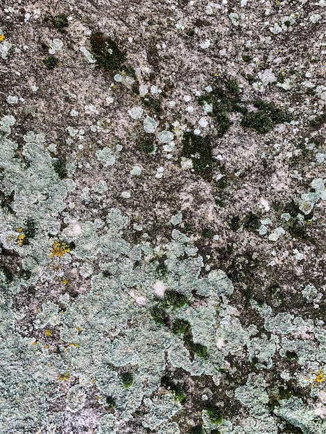 Sfondo di roccia di montagna Trama di roccia Sfondo di pietra