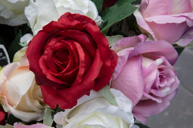 Sfondo di rose rosse bianche e rosa