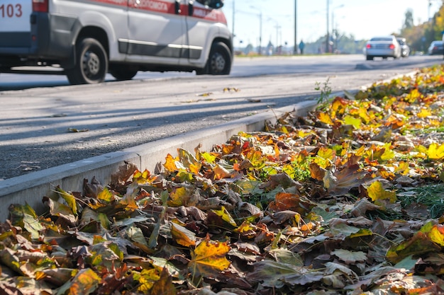 Sfondo di schizzo autunnale con foglie ingiallite e che cadono nel parco di fronte a edifici residenziali