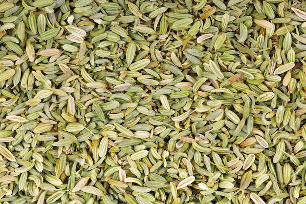 Sfondo di semi di finocchio Grani di finocchio verde Spezie ed erbe aromatiche Vista dall'alto