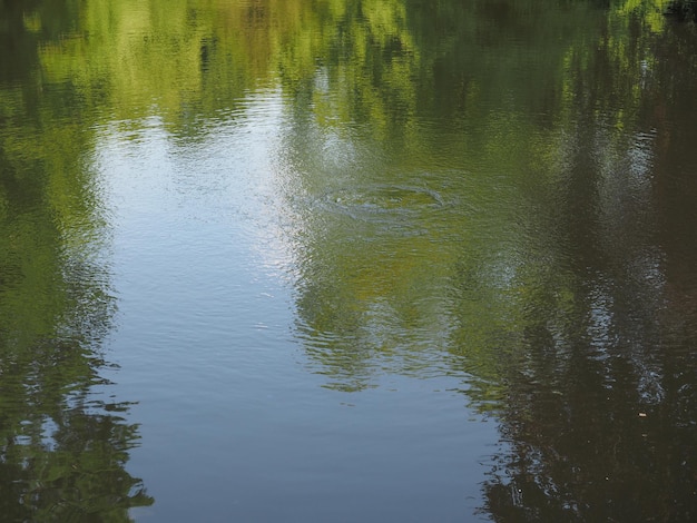 Sfondo di stagno d'acqua