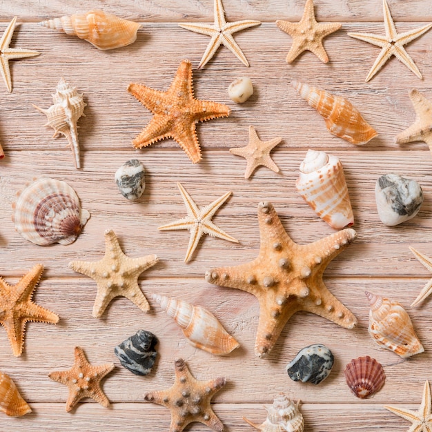 Sfondo di stelle marine e conchiglie su un tavolo di legno, vista dall'alto, piatto.