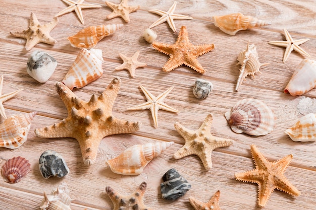 Sfondo di stelle marine e conchiglie su un tavolo di legno, vista dall'alto, piatto.