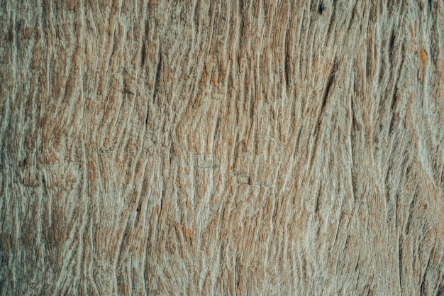 sfondo di struttura in legno
