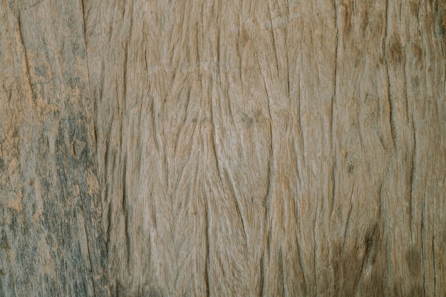 sfondo di struttura in legno