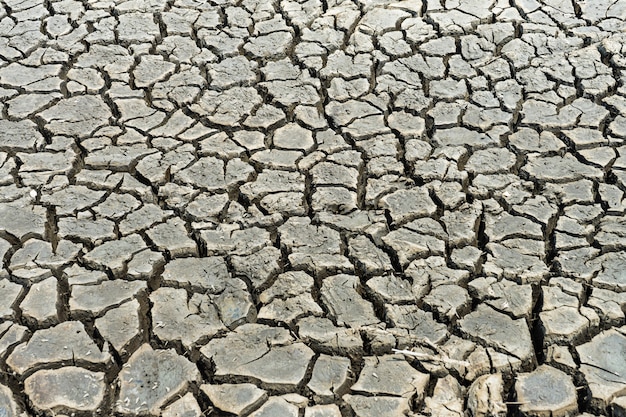 Sfondo di terra secca incrinata