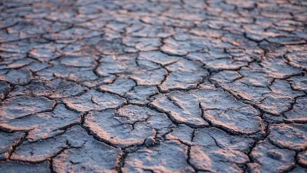 Sfondo di terreno di terra incrinata