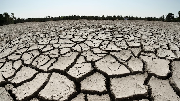 sfondo di trama di siccità