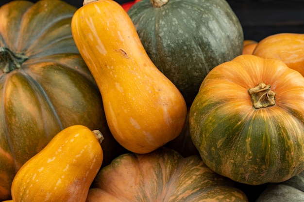 Sfondo di un sacco di zucche colorate da vicino