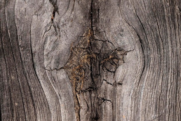 Sfondo di una struttura di legno rustica. Il fascino della natura.