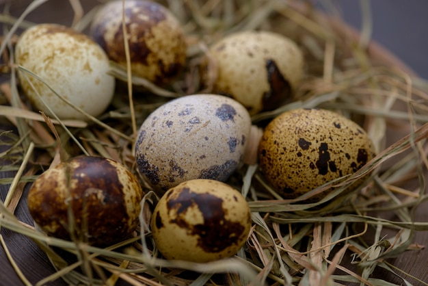 Sfondo di uova di quaglia di Pasqua