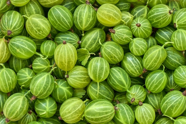 Sfondo di uva spina matura, macro, mangiare sano