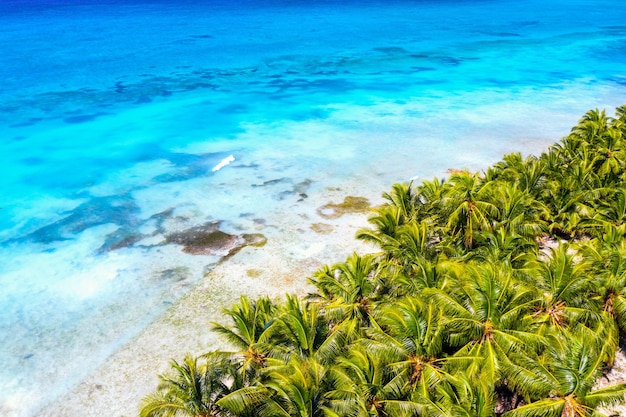 Sfondo di vacanza. Concetto di viaggio. Vista aerea del drone della bellissima isola tropicale caraibica con palme e acqua turchese.