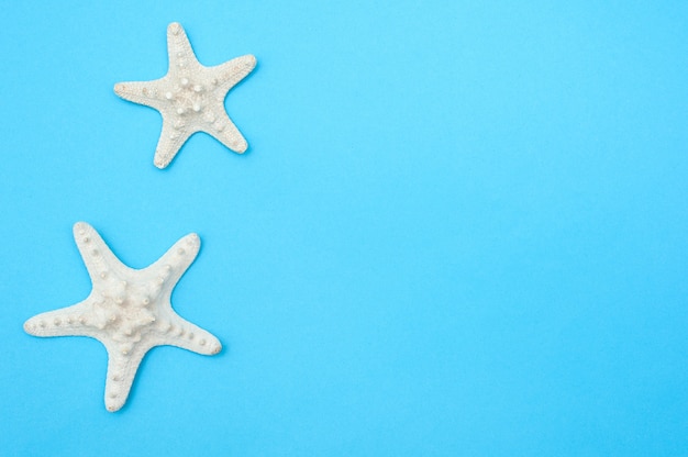 Sfondo di viaggio. Stelle marine su sfondo blu