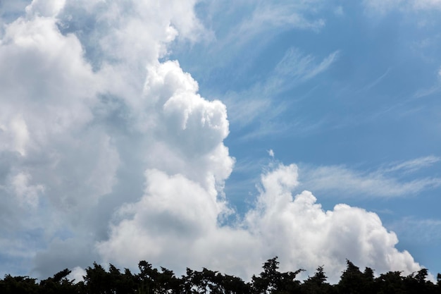 Sfondo drammatico e texture cielo blu nuvoloso in estate con un orizzonte di cespugli