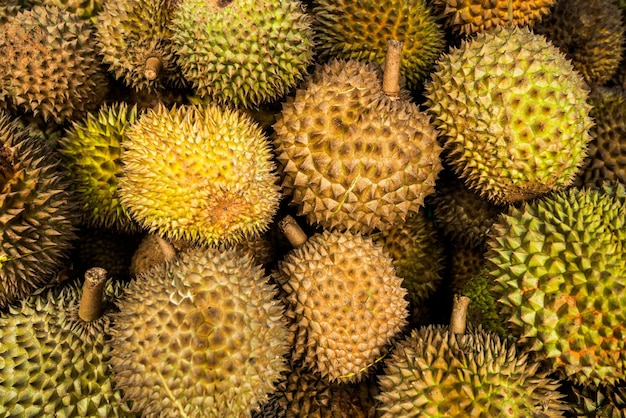 Sfondo Durian Mao Shan Wang Musang King