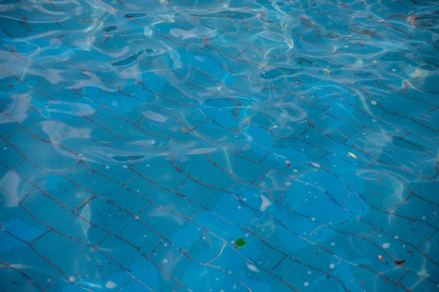 Sfondo e trama Increspature sull'acqua limpida Piccoli detriti e foglie galleggianti Una delle piastrelle blu in ceramica Pulizia della piscina