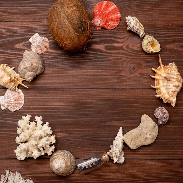 Sfondo estivo di conchiglie, coralli, stelle marine, barca in bottiglia, cocco su una superficie di legno