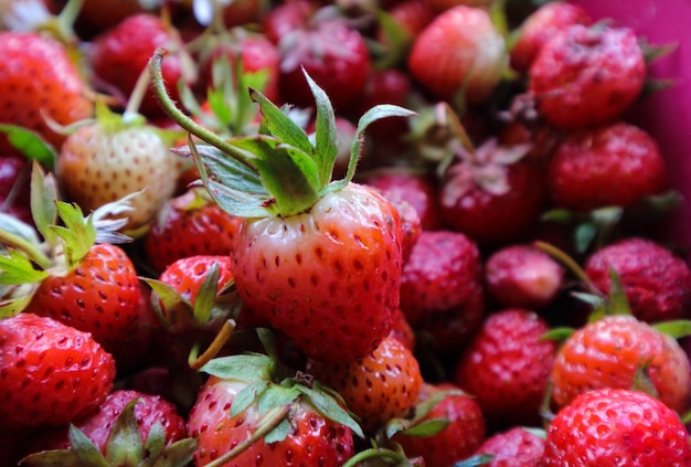 Sfondo estivo, tante belle fragole rosse