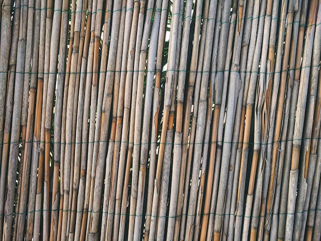 Sfondo fatto di veri rami di bambù marrone. Textures del mondo.