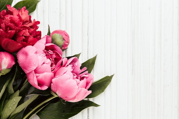 Sfondo festa della mamma con fiori di peonie