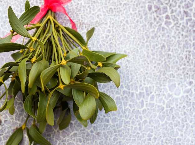 Sfondo festivo di Natale con vischio verde appeso sullo sfondo della vecchia porta incrinata