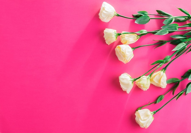 Sfondo floreale rosa con fiori gialli di eustoma