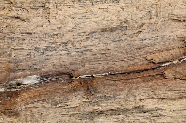 sfondo in legno grunge di consistenza di legno grezzo