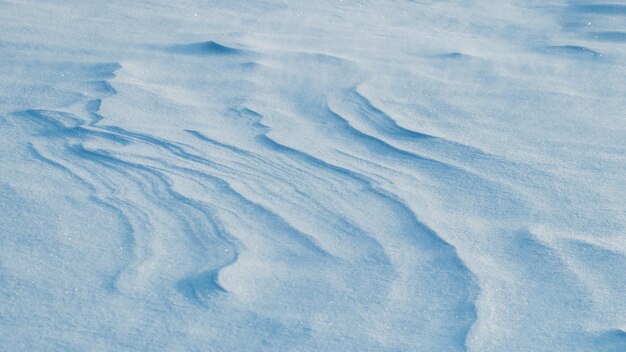 Sfondo innevato, superficie innevata della terra dopo una bufera di neve al mattino alla luce del sole con distinti strati di neve