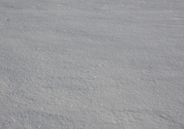 Sfondo invernale con campo di neve