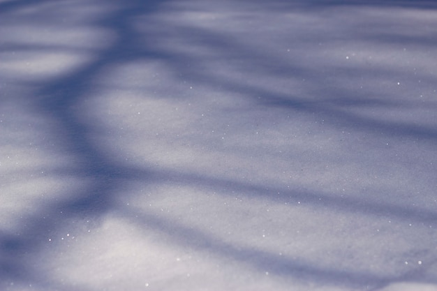 Sfondo invernale con le ombre degli alberi sulla neve